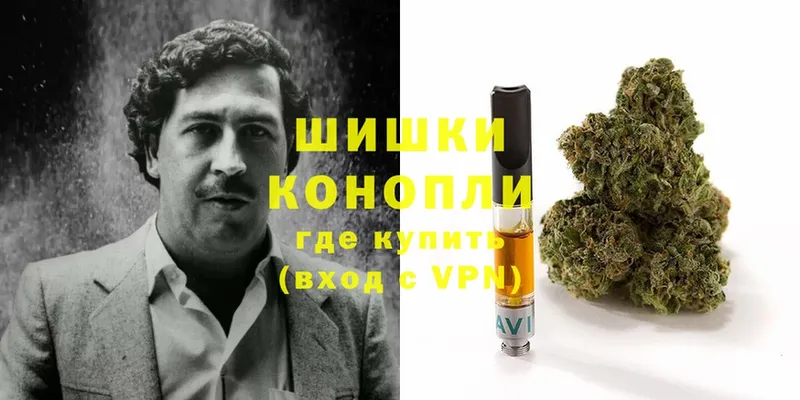 Конопля Бирюч