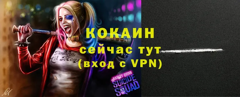 ссылка на мегу   Бирюч  COCAIN 97% 