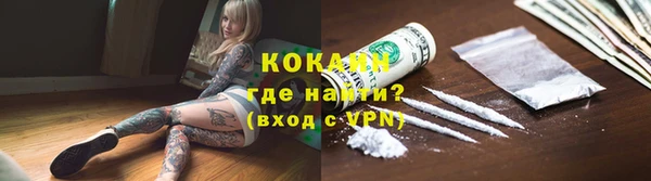 стафф Богданович